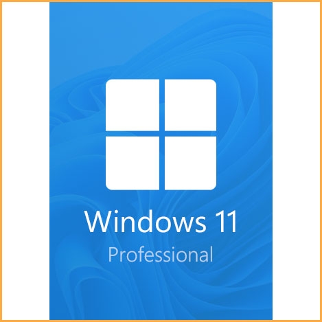 Buy Windows 11 Professional CD-KEY 1 PC 