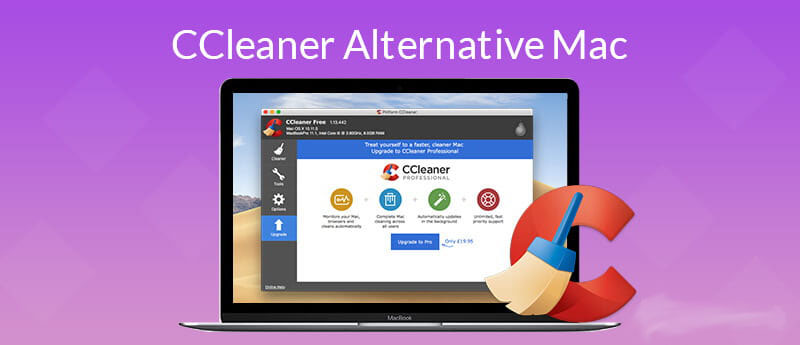 Buy Ccleaner Professional Plus OEM