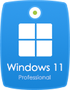 windows11